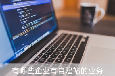 有哪些企業(yè)有自建站的業(yè)務(自建站工作好做嗎)